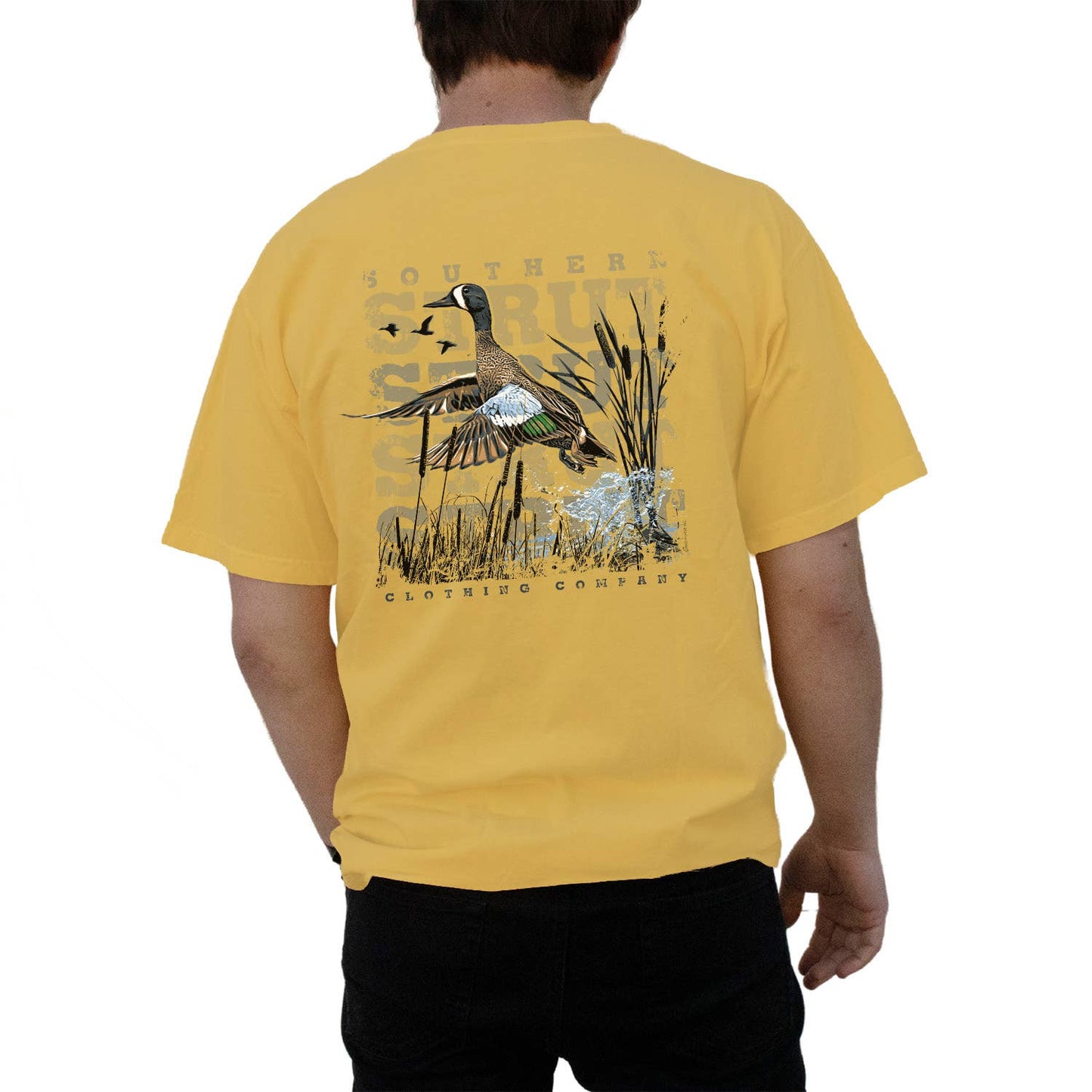 Blue Winged Teal Butterscotch